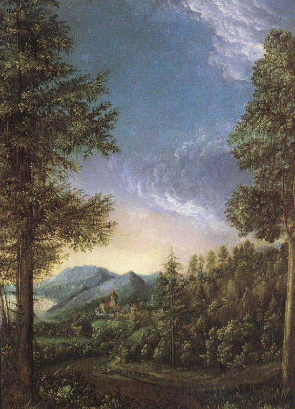 Albrecht Altdorfer View from Danube Norge oil painting art